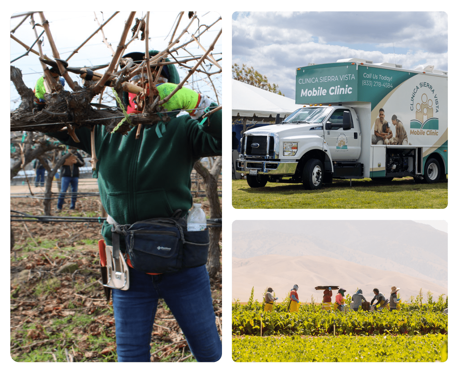 California Farmworker Foundation — Building a Better Future for our Farmworker Community
