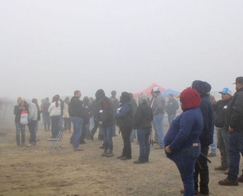 Valley Pruning Contest – California Farmworker Foundation Crowd gathered outdoors during the Central Valley Pruning Contest held by California Farmworker Foundation
