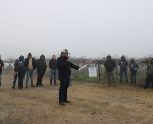 Valley Pruning Contest – California Farmworker Foundation CFF representatives announcing the contest rules during the Central Valley Pruning Contest held by California Farmworker Foundation