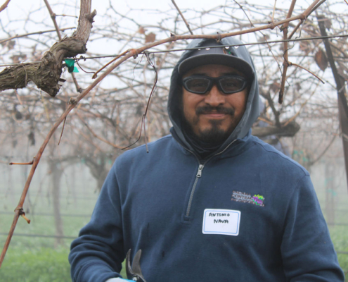 Valley Pruning Contest – California Farmworker Foundation Farmworker smiling during the Central Valley Pruning Contest held by California Farmworker Foundation