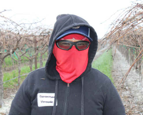Valley Pruning Contest – California Farmworker Foundation Farmworker smiling during the Central Valley Pruning Contest held by California Farmworker Foundation