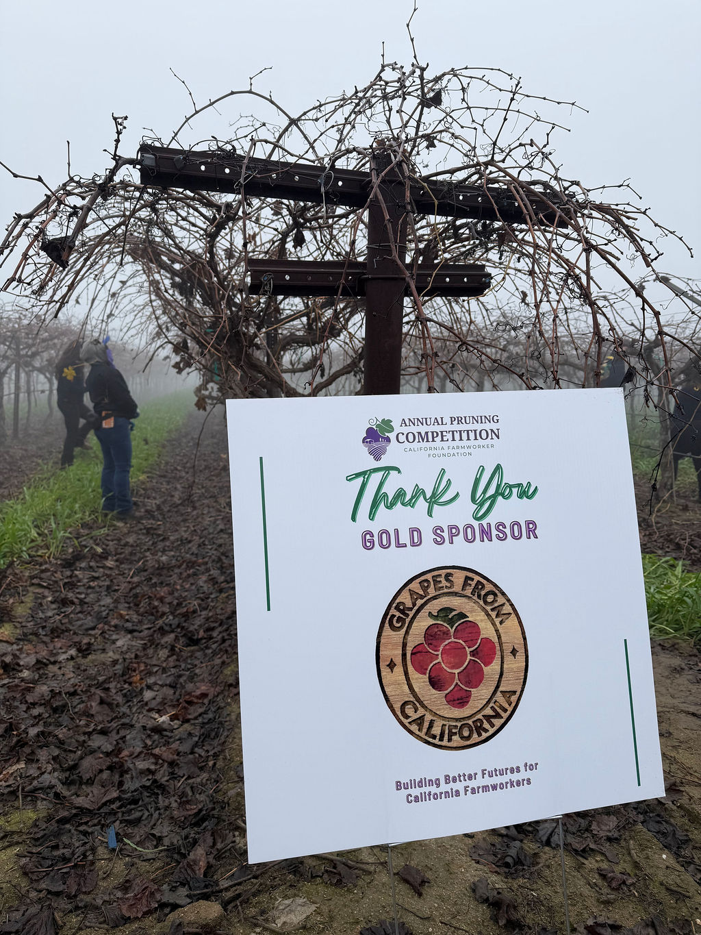 Valley Pruning Contest – California Farmworker Foundation Central Valley Pruning Contest held by California Farmworker Foundation
