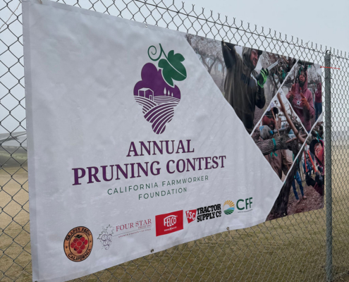 Valley Pruning Contest – California Farmworker Foundation Central Valley Pruning Contest held by California Farmworker Foundation