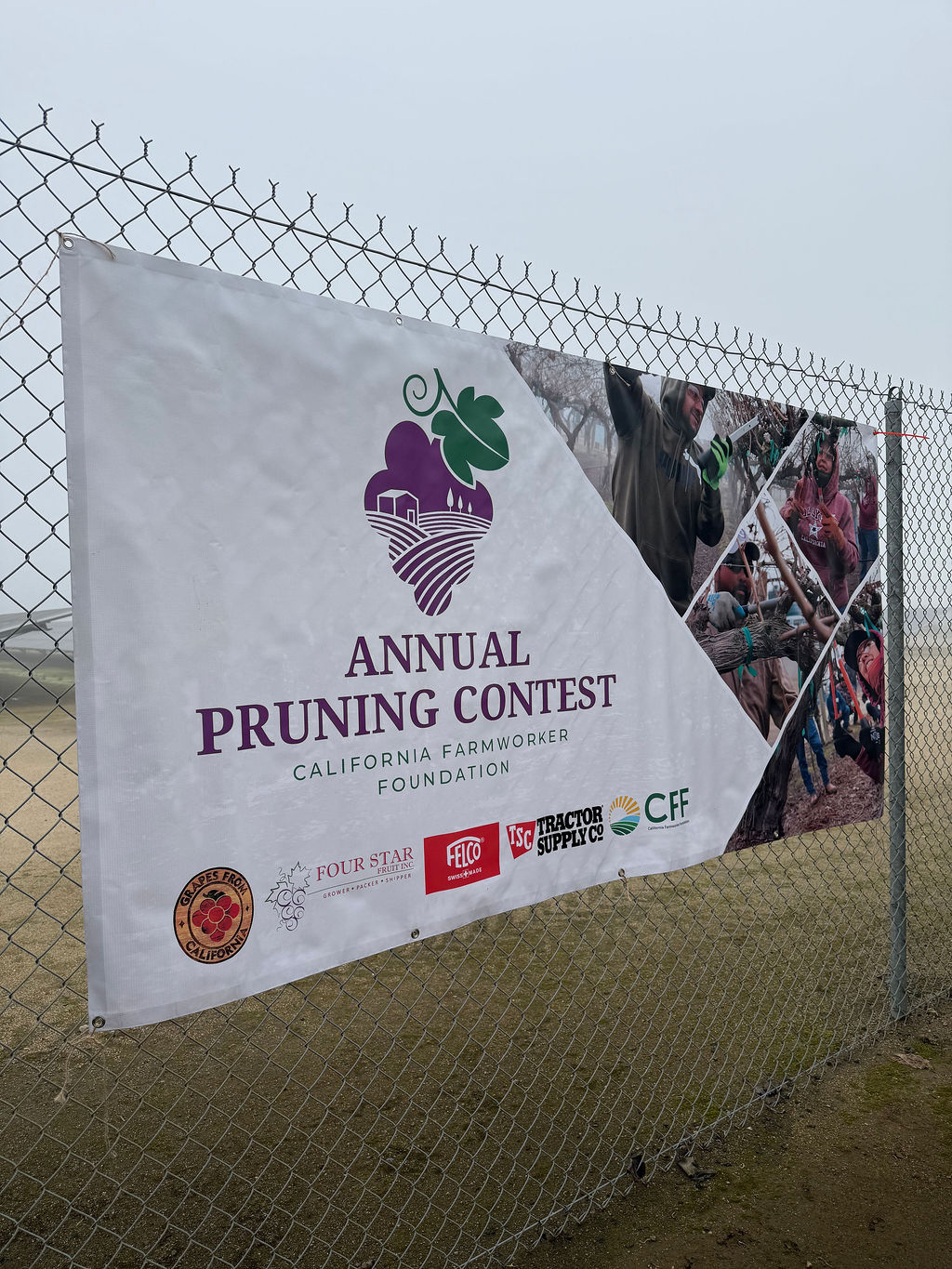 Valley Pruning Contest – California Farmworker Foundation Central Valley Pruning Contest held by California Farmworker Foundation